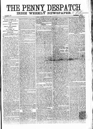 cover page of Penny Despatch and Irish Weekly Newspaper published on June 18, 1864