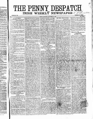 cover page of Penny Despatch and Irish Weekly Newspaper published on September 17, 1864