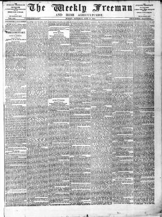 cover page of Weekly Freeman's Journal published on June 18, 1881