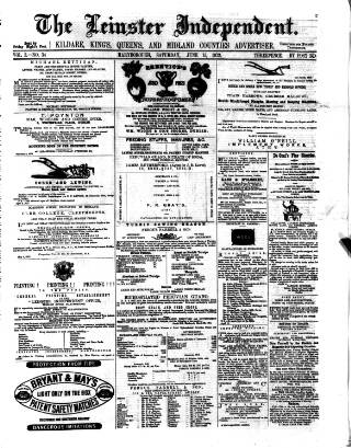 cover page of Leinster Independent published on June 15, 1872