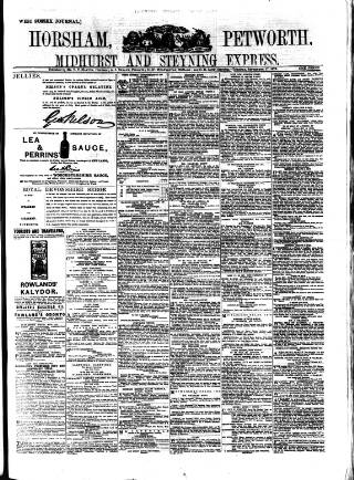 cover page of Horsham, Petworth, Midhurst and Steyning Express published on September 17, 1878