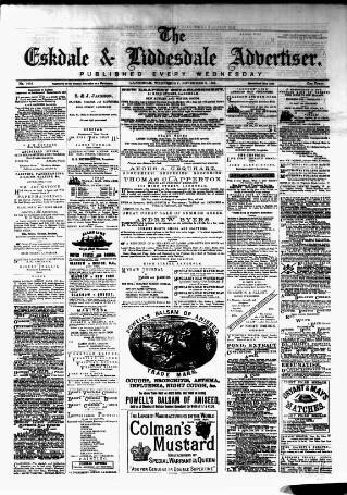 cover page of Eskdale and Liddesdale Advertiser published on November 2, 1881