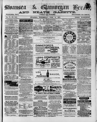 cover page of Swansea and Glamorgan Herald published on June 18, 1879