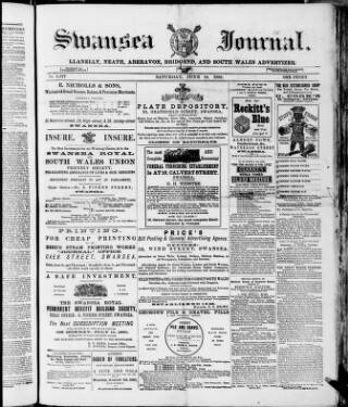 cover page of Swansea Journal published on June 18, 1881