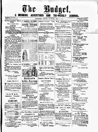 cover page of Budget (Jamaica) published on May 2, 1882