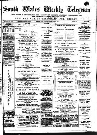 cover page of South Wales Daily Telegram published on June 18, 1880