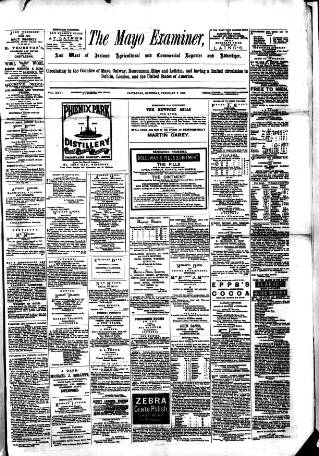 cover page of Mayo Examiner published on February 2, 1895