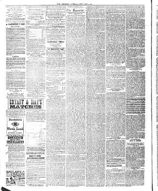 cover page of Bridge of Allan Reporter published on February 2, 1884