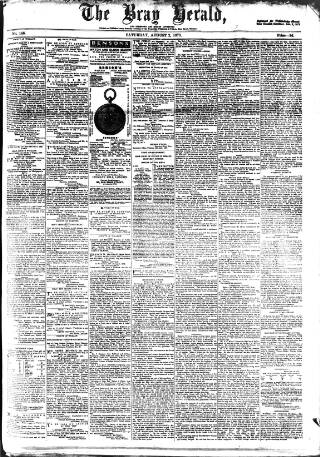 cover page of Bray and South Dublin Herald published on August 2, 1879
