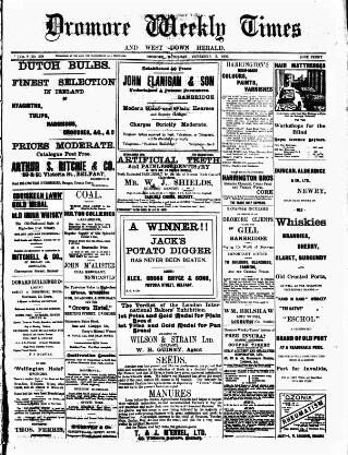 cover page of Dromore Weekly Times and West Down Herald published on November 2, 1907