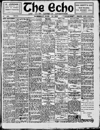 cover page of Enniscorthy Echo and South Leinster Advertiser published on June 18, 1910