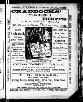 cover page of Magpie published on June 12, 1886