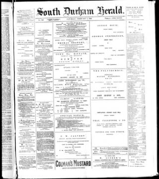 cover page of South Durham Herald published on February 2, 1884