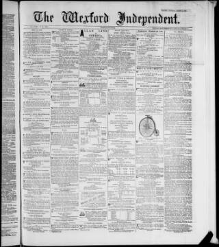 cover page of Wexford Independent published on March 19, 1881