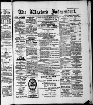cover page of Wexford Independent published on November 2, 1904