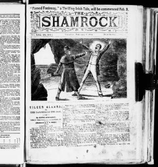 cover page of Shamrock published on February 2, 1884