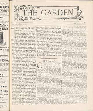 cover page of The Garden published on February 2, 1907